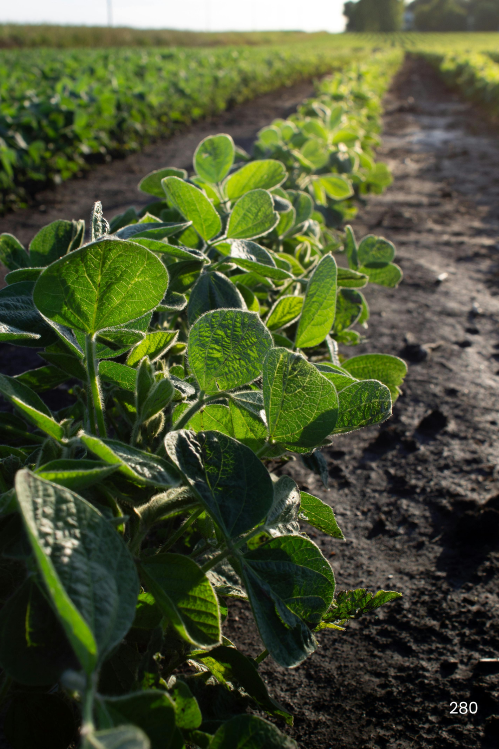 Grants for Farmers and Agri-Business Owners in Canada